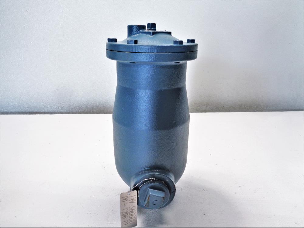 Valmatic 2" NPT Waste Water Air Release Valve, Model 48A